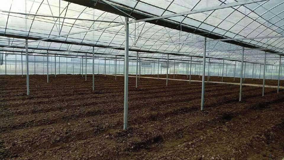 The mega project of greenhouses implemented by Egyptian government constitutes a qualitative leap in the history of agriculture in the country as it will play a major role in achieving food security for the most populous Arab country, Egyptian experts said.