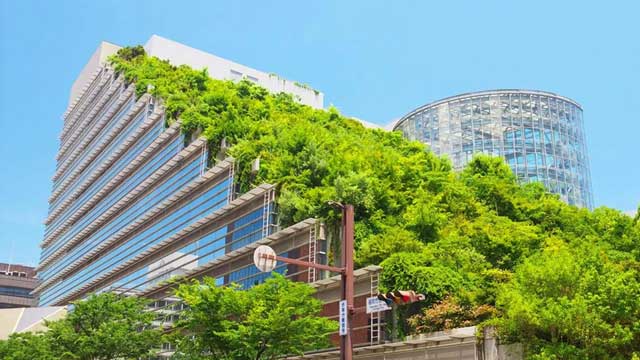 Ճապոնիան սրում է իր կանաչ շենքը