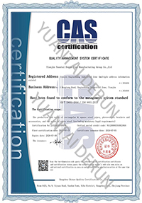 ISO 9001 YUANTAI DERUN